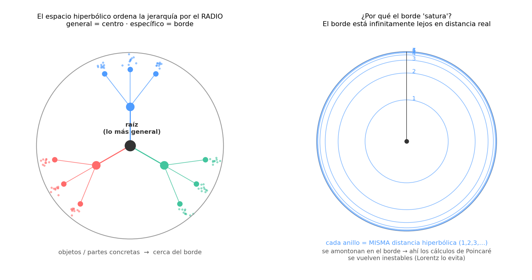 Disco de Poincaré: jerarquía por radio y saturación del borde