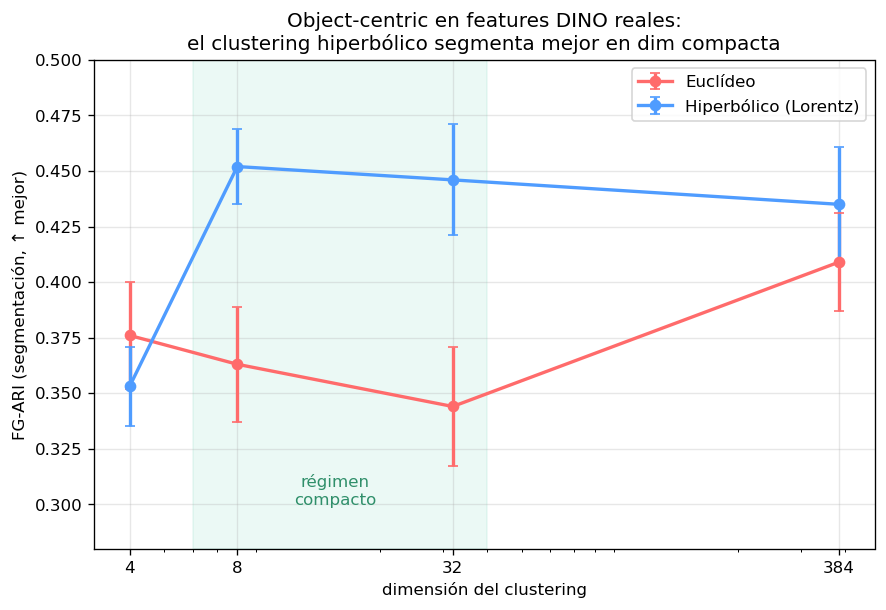 Segmentación object-centric: hiperbólico vs euclídeo