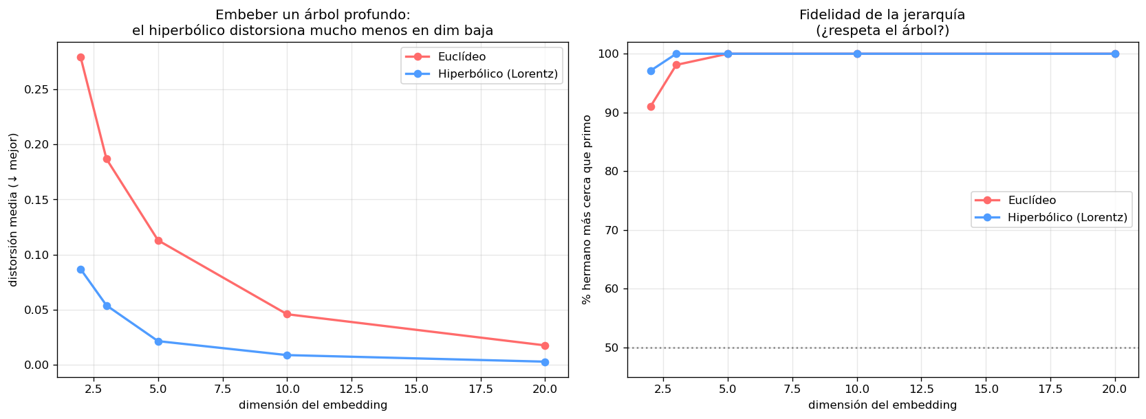 Distorsión al embeber un árbol: hiperbólico vs euclídeo